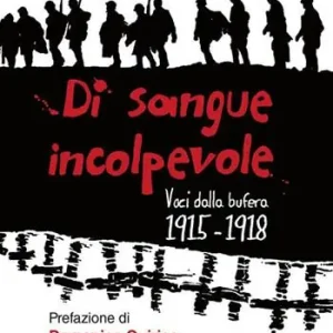Goedkoop Di sangue incolpevole. Voci dalla bufera 1915-1918