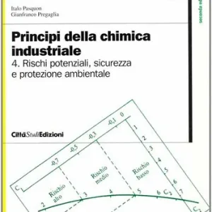 Beste Prijs Principi della chimica industriale. Vol. 4 Rischi potenziali, sicurezza e protezione ambientale nell‘Industria chimica