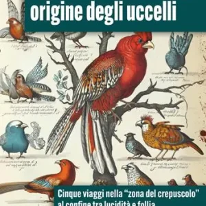 Speciale Aanbieding Origine degli uccelli