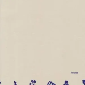 Tipologie-Typologies. Ediz. a colori Seizoensaanbieding