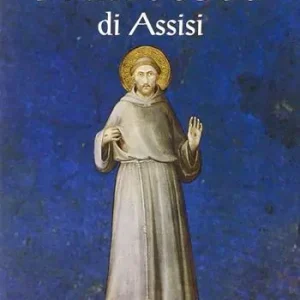 Rechtstreeks Van De Fabrikant Francesco di Assisi