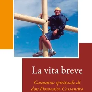 La vita breve. Cammino spirituale di don Domenico Cassandro. Ediz. illustrata Fabrieksprijs