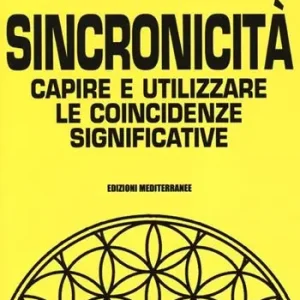 Direct Beschikbaar Sincronicità. Capire e utilizzare le coincidenze significative