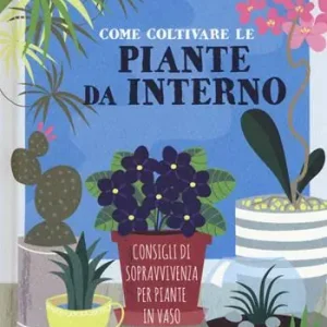 Come coltivare piante da interno. Consigli di sopravvivenza per piante in vaso Speciale Aanbieding