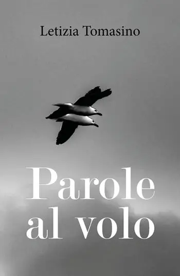 Laatste Versie Parole al volo