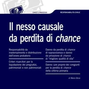 Flitsaanbieding Il nesso causale da perdita di chance
