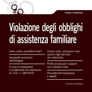 La violazione degli obblighi di assistenza familiare Lage Kosten