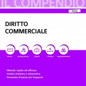 Beperkte Voorraad Compendio di diritto commerciale
